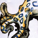 Pulpo - Bumping in the air
