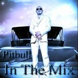 Pitbull Megamix