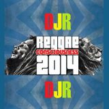 DJ Rosa from Milan - Reggae Consciousness 2014