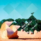 Words On Tracks /72 feat. Tim Koch