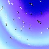 Turn On-Tune In 1BTNFM 18.01.16 - Life Force Explorer