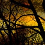 Invierno Podcast