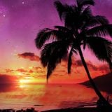 Surf Shack
