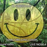 HARDCORE JUNGLEISM 15.11.2015