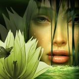 Karma Groove Vol 17