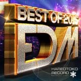 Best Of 2015-16 ver.EDM