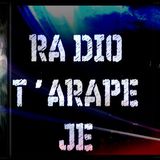 GAGA' con RADIOT'ARAPE JE di ANAPOLOGISMI - 4° episodio su Direzioni Diverse - L' ADOLESCENZA