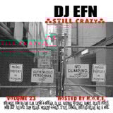 DJ EFN - Vol 23 (Still Crazy)