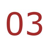 Brown03