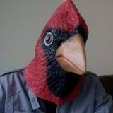 Birdmaster Kevin - RWDFM Broadcast 006