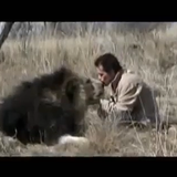 Lion Power