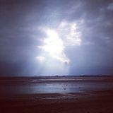 Sound Selekta (Ambient X Mix)