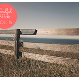 Soulful Affair Vol. 15
