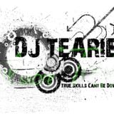 DJ Tearies - Reborn 2011 Mixtape