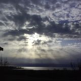 Niti_Field_of_view
