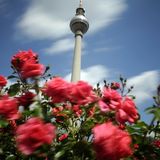 Doctor - Days of Springtime // Feb 2010 // Berlin