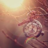 Time For Spring Mix by Philo