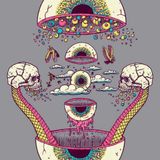 qalib - Prueba Stream
