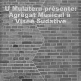Agrégat Musical à Visée Sudative