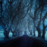 Roads (2015 Part 1)