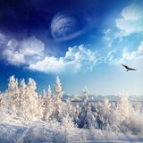 Winter Wonderland (Minimal Set) 2011