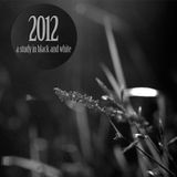 2012 - a study in black and white