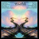 Lucid Dream Enhancer