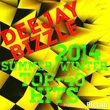 DeeJay Bizzle Summer/Winter Top-40 Hits