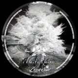 WHITE RHINO(Original Mix) - BLACKY THE JUNKIE - 2012