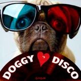 Doggy Loves Disco