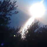SUNSET D.F. 022 MIXED BY MODULADOR CENTRAL