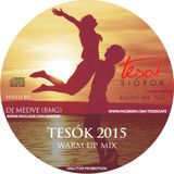BMG - TESÓK 2015 / warm up mix