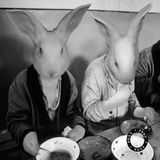 Feed Your Head with The Hutchinson Bros. and Slugrave - Recorded Sunday 17th April