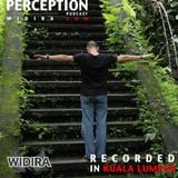 Perception 013