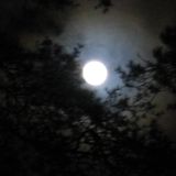 Silent Moon - Episode #39