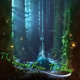 The Sounds From The Deep (boomadelic 2007)
