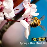 The Honey Factory - Spring is Here March 2010