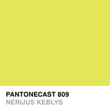 PANTONECAST 809