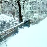 Winter Jack
