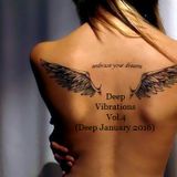 Deep Vibrations Vol.4(Deep January 2016)