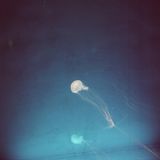 SOB.021 Shigeto