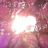Pauly P - Wonderful