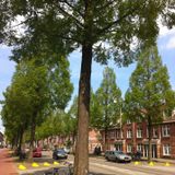 Oleanderstraat