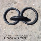 A Duck in a Tree 2013-10-19 | The Key to the Light Lock