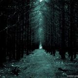 "walking in the woods"