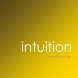Intuition | gold | mixed by q.biq | 08.06.2012