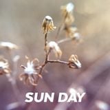 SUN DAY – 04