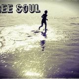 Free Soul