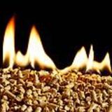Radio Free Brighton: BHESCO Show with Kayla Ente 08-10-14