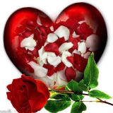 MY OPM LOVE SONGS COLLECTION by ANEH ESTUISTA)